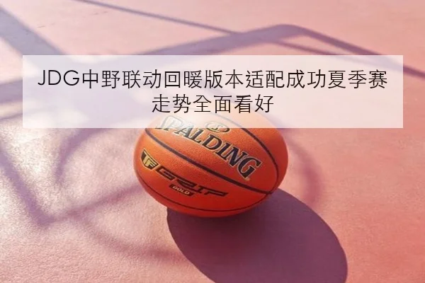 JDG中野联动回暖版本适配成功夏季赛走势全面看好